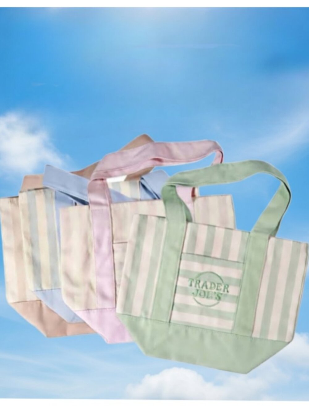 Trader Joe's Striped Mini Canvas Totes
